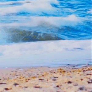 Behind-the-scenes cut of Shownu (MONSTA X)