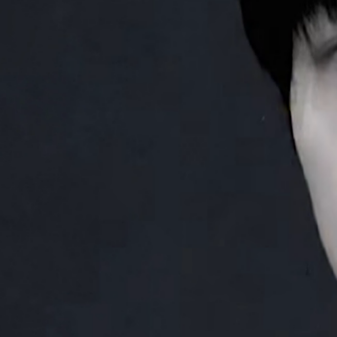 현재 (더보이즈) 팬이 찍은 순간