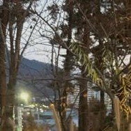 今天在最爱偶像中闪耀的金佳蓝代表照片