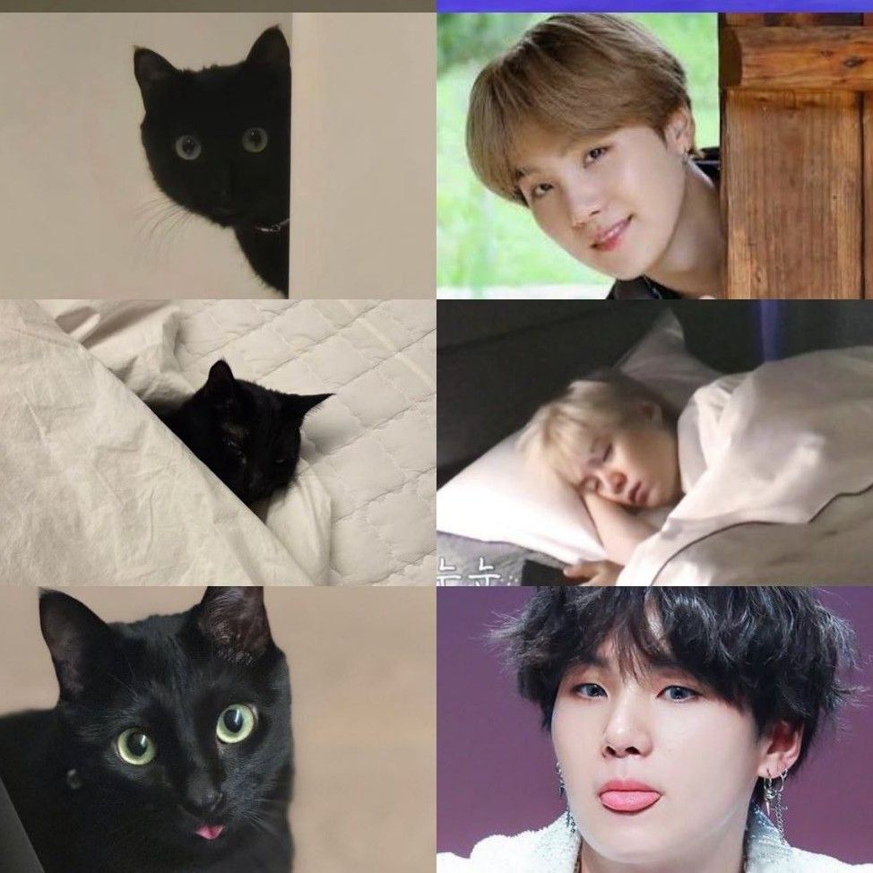 SUGA (BTS)の最近の活動写真