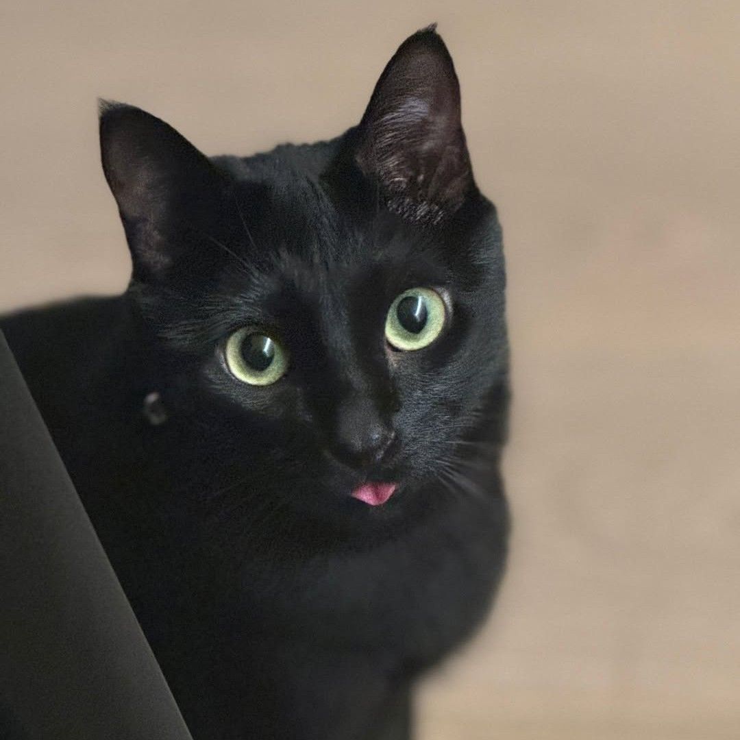 SUGA (BTS)の舞台裏ショット