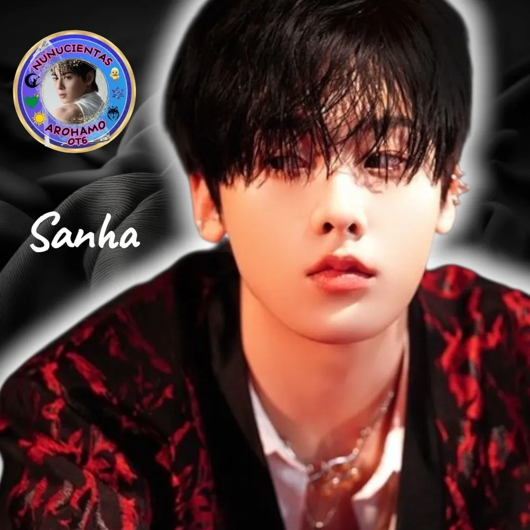 A moment captured by Sanha (ASTRO)'s fan