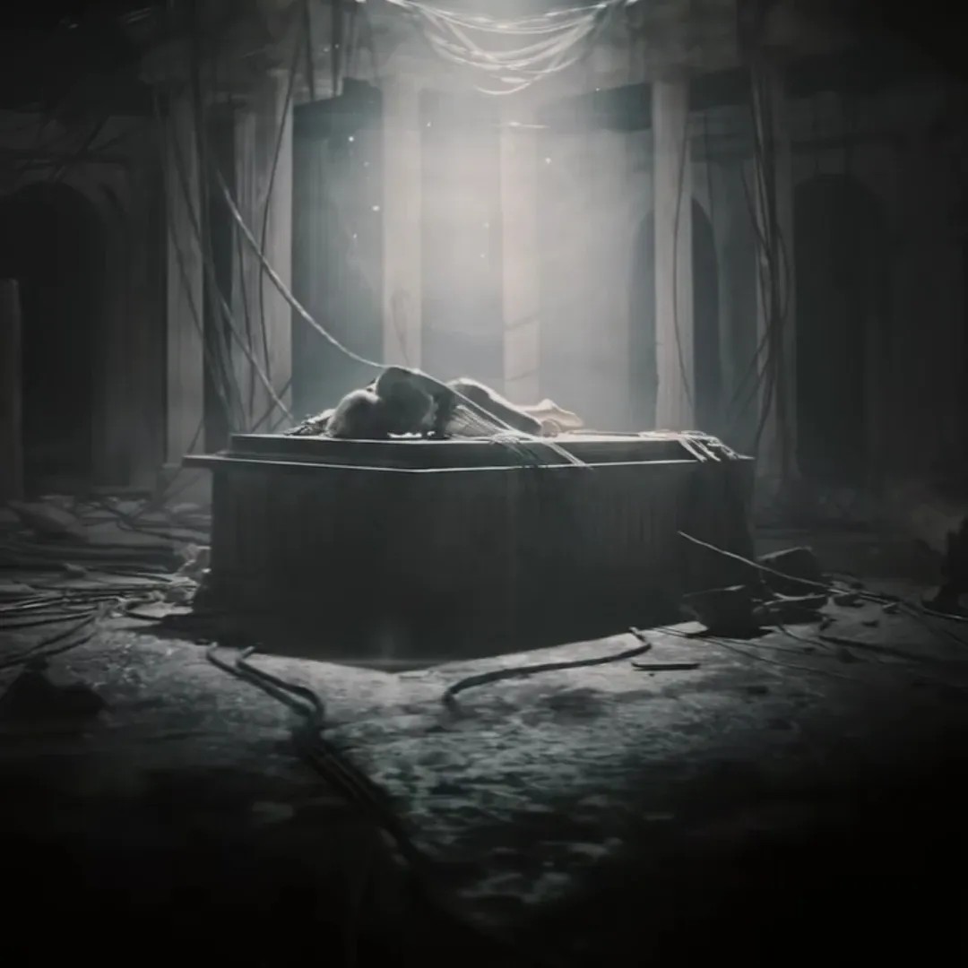 리사 (BLACKPINK) 팬이 찍은 순간