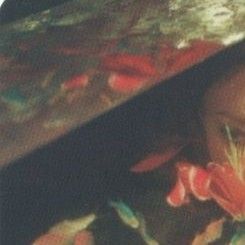 華莎 (MAMAMOO)的最新照片