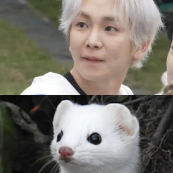 Best moment chosen by Key (SHINee) fandom