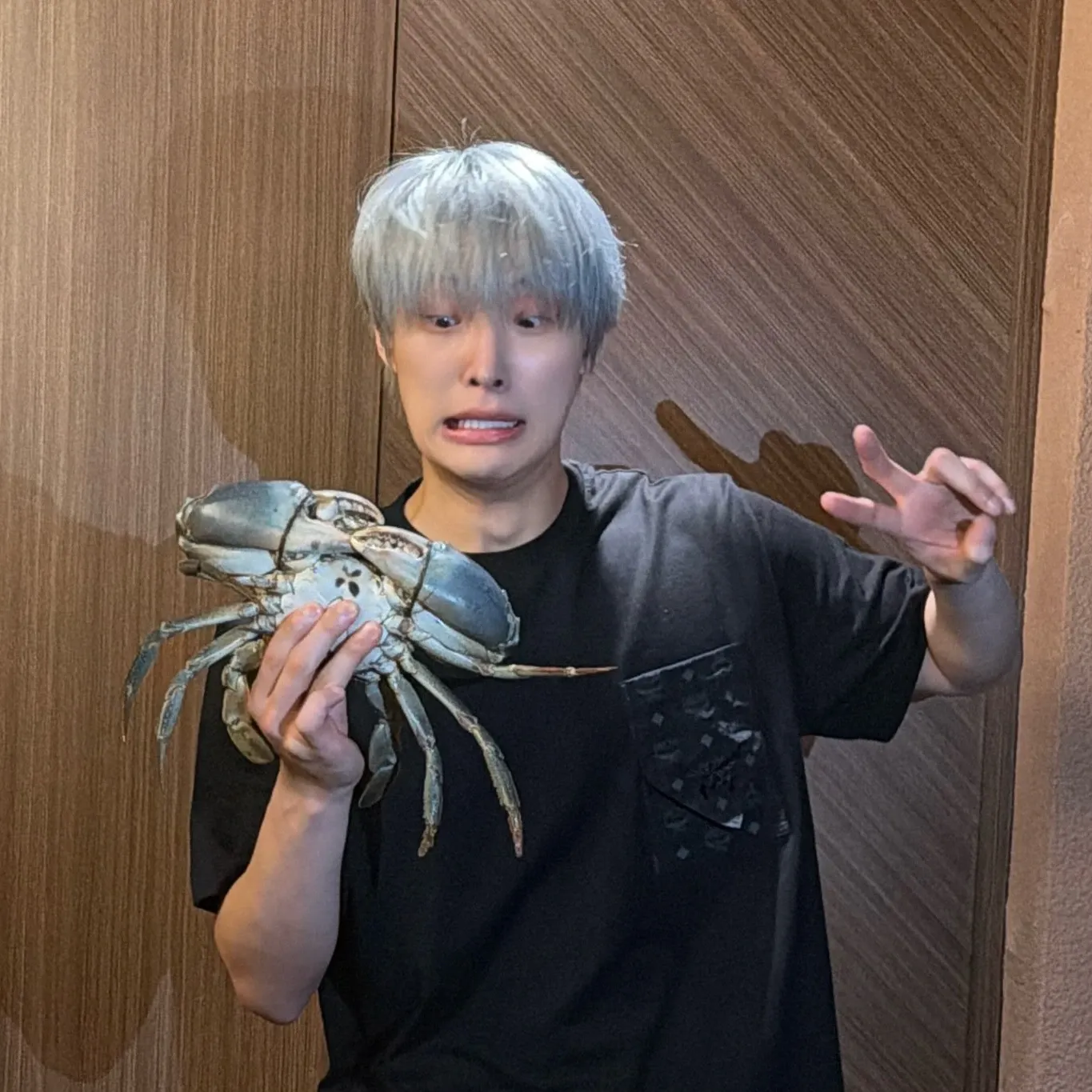 ATEEZ粉絲拍下的瞬間