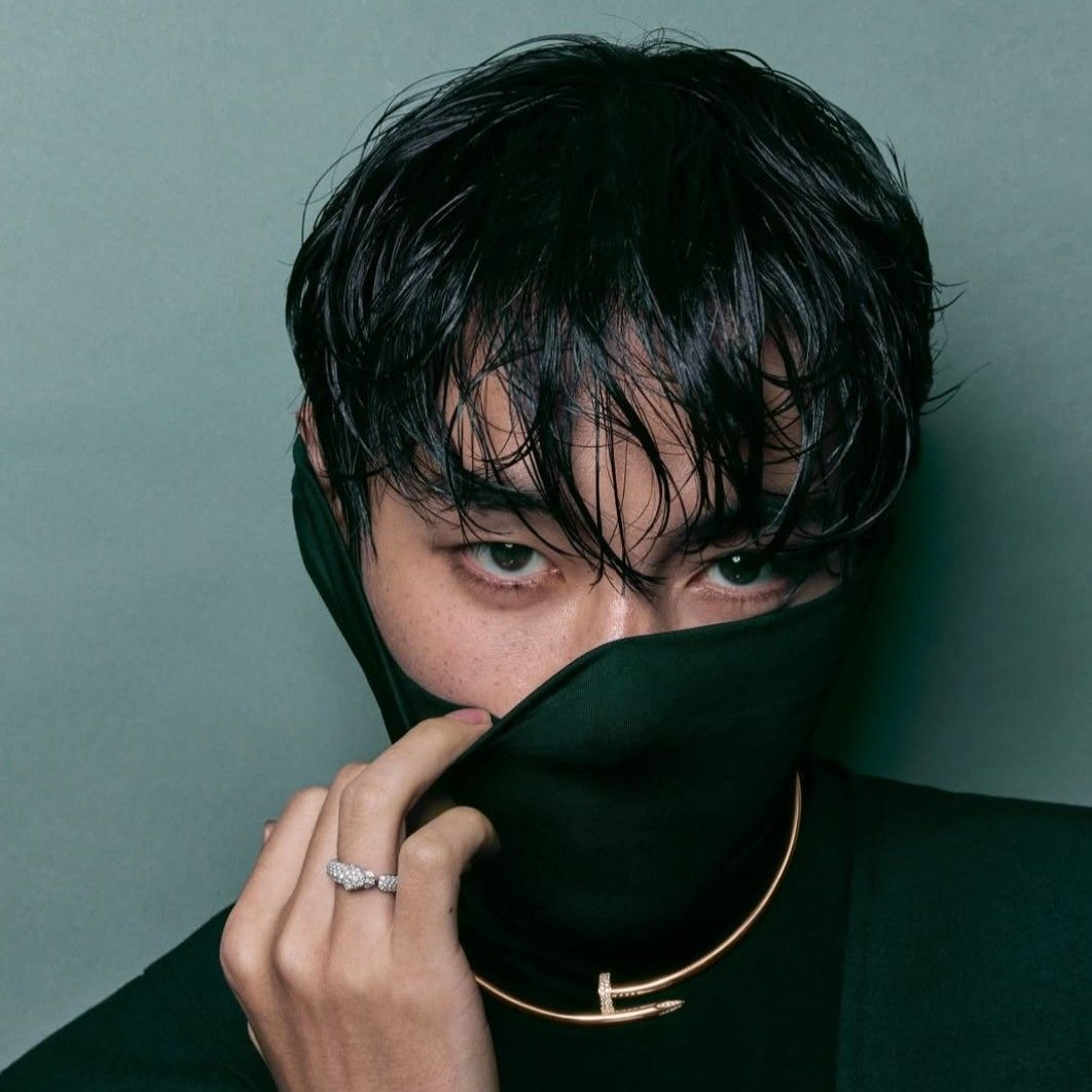 뷔 (방탄소년단) 팬이 찍은 순간