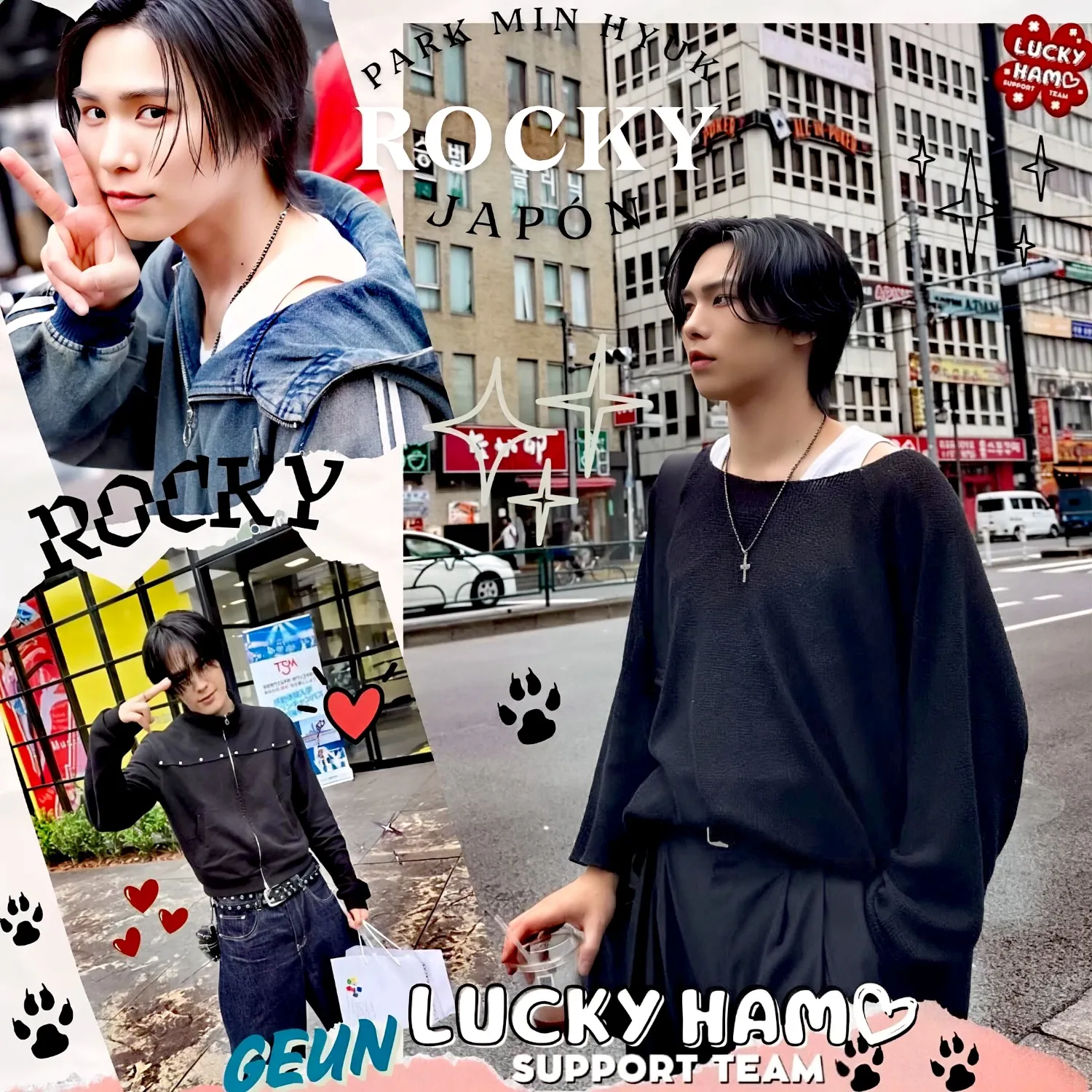 Recent activity shot of Rocky
