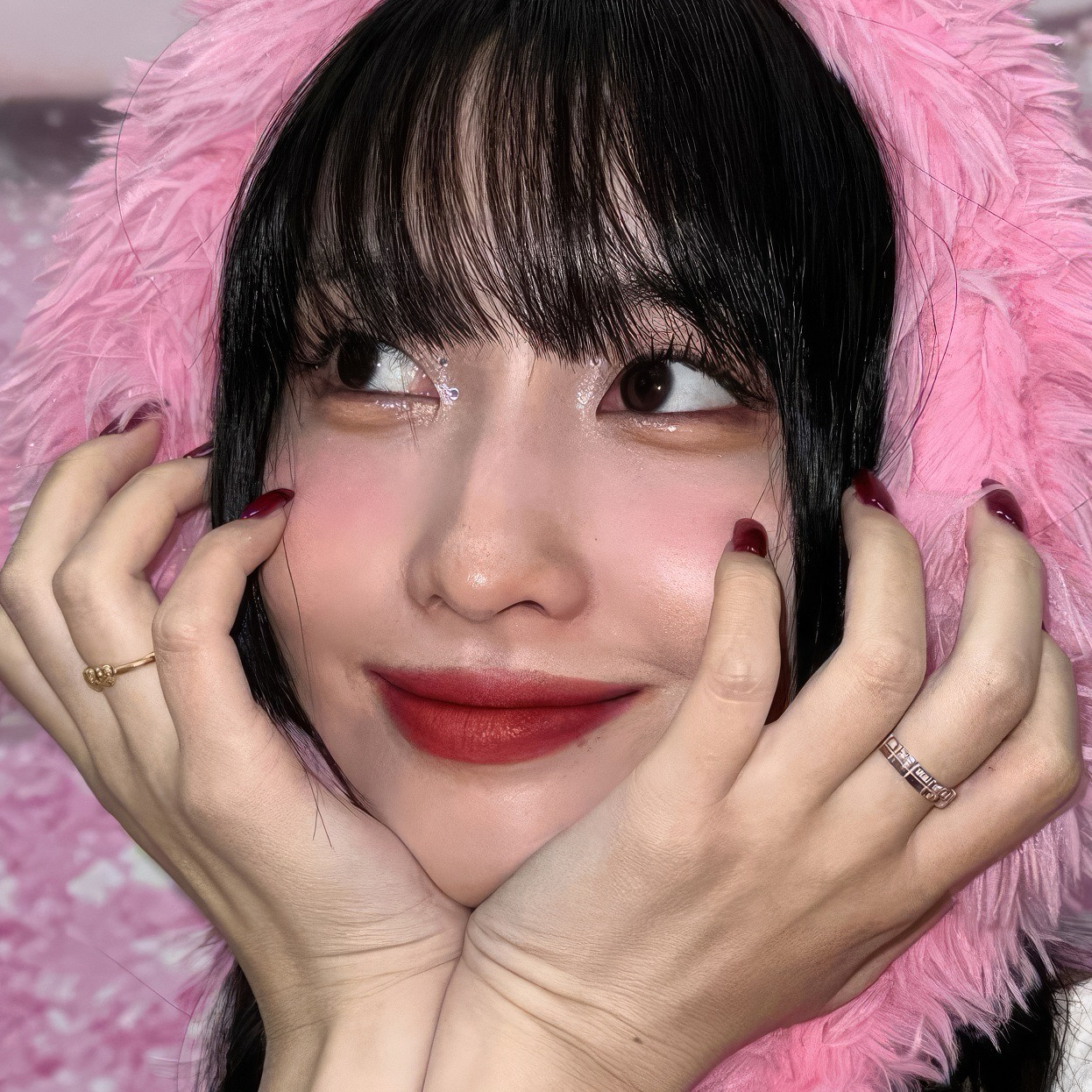 모모 (TWICE) 팬이 찍은 순간