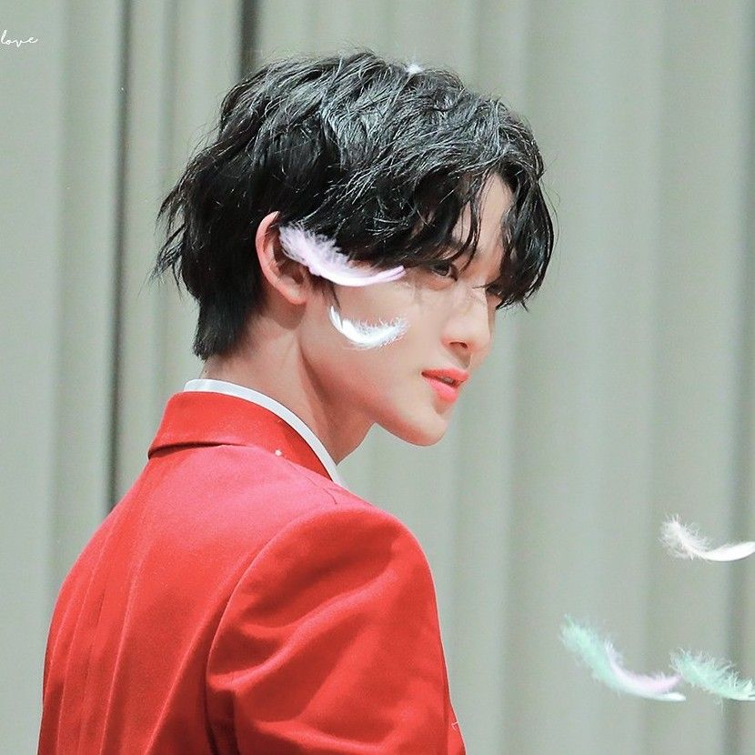 裴珍映粉絲拍下的瞬間