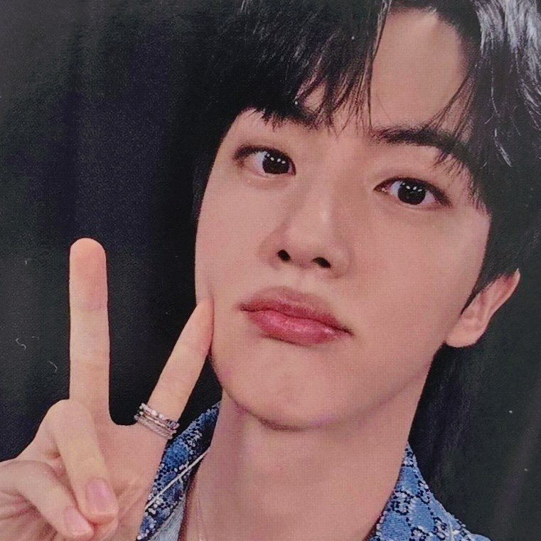 진 (방탄소년단) 팬이 찍은 순간