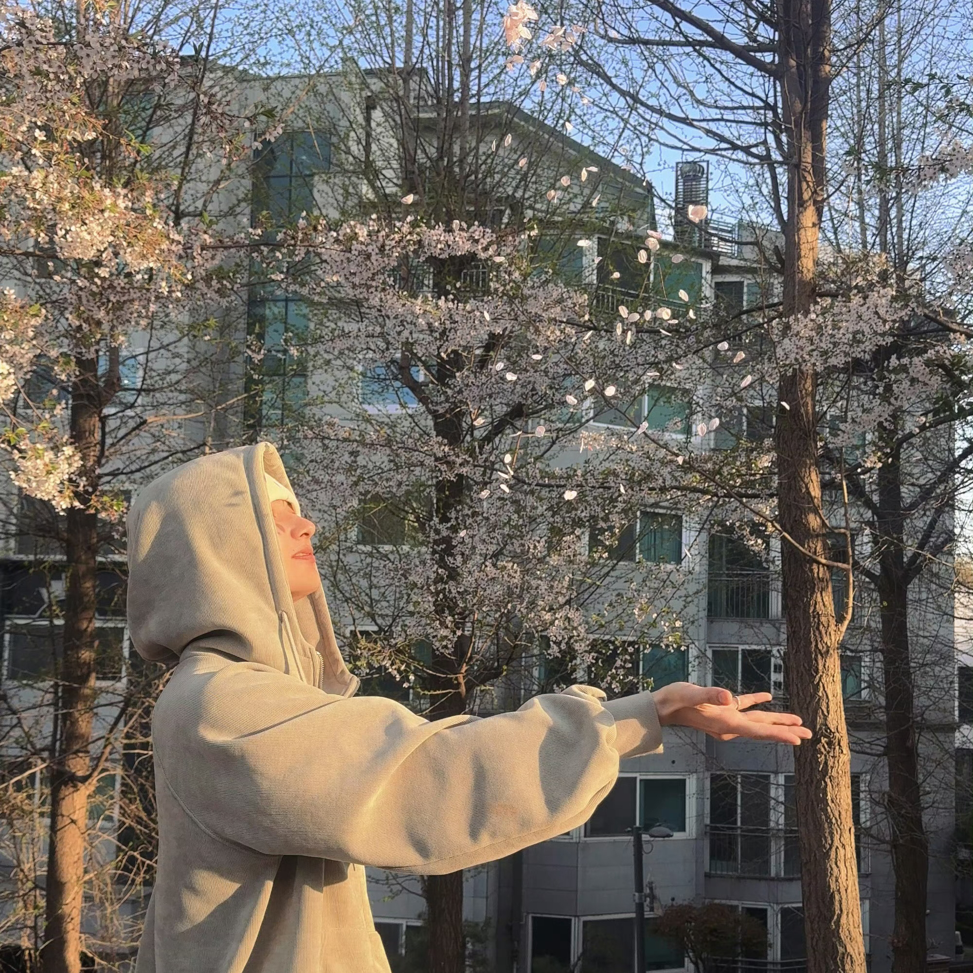 A moment captured by Jun (SEVENTEEN)'s fan