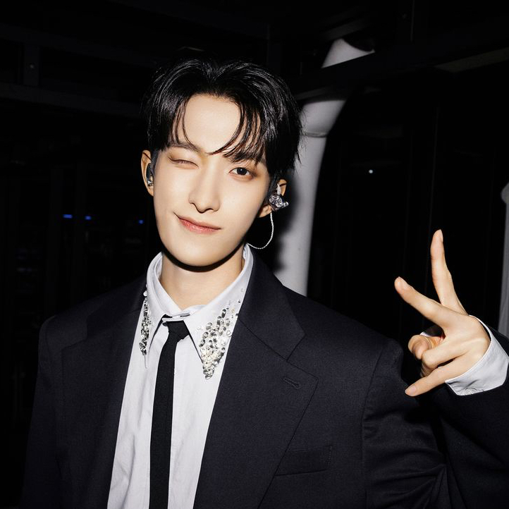A moment captured by DK (SEVENTEEN)'s fan