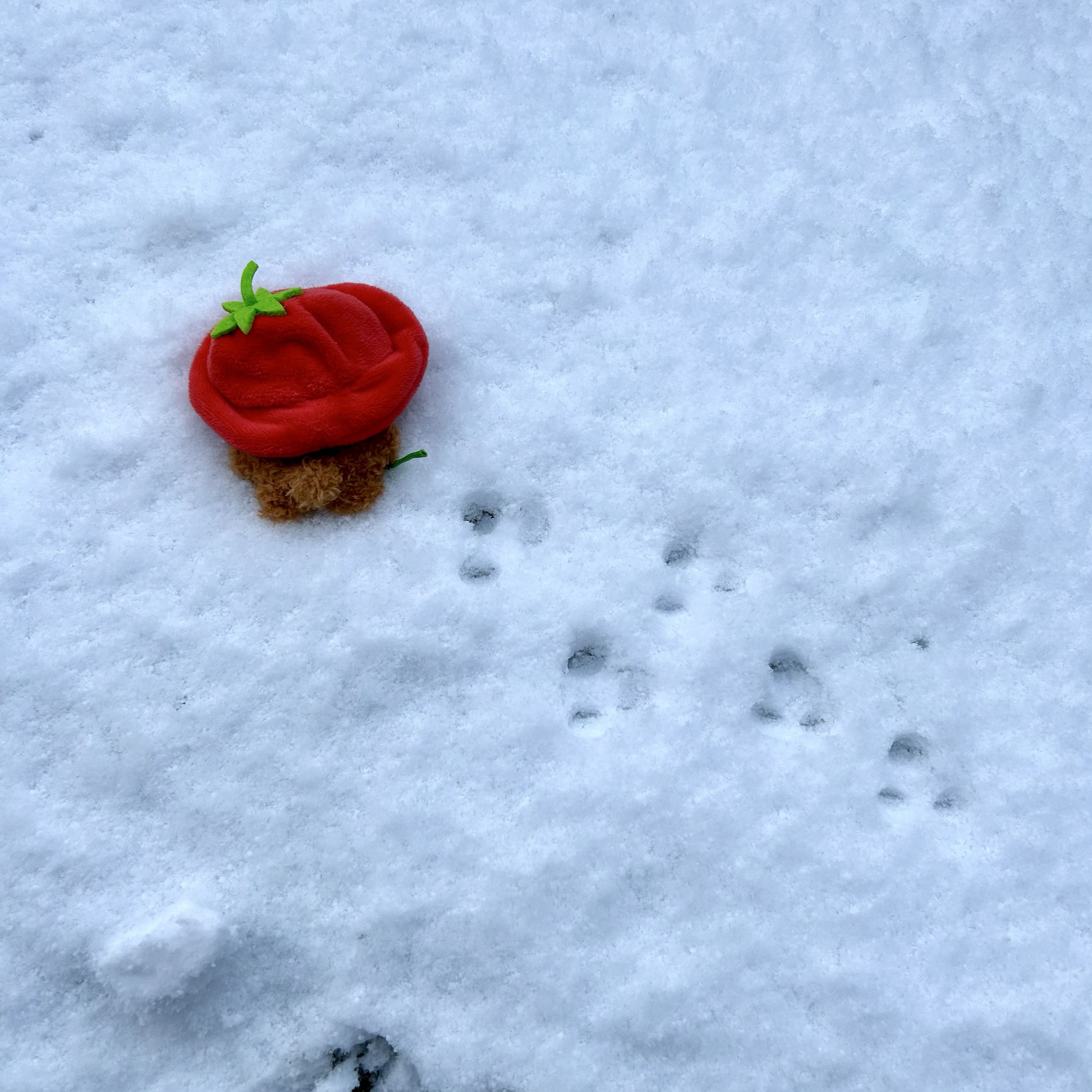 Momen yang diabadikan oleh penggemar NCT