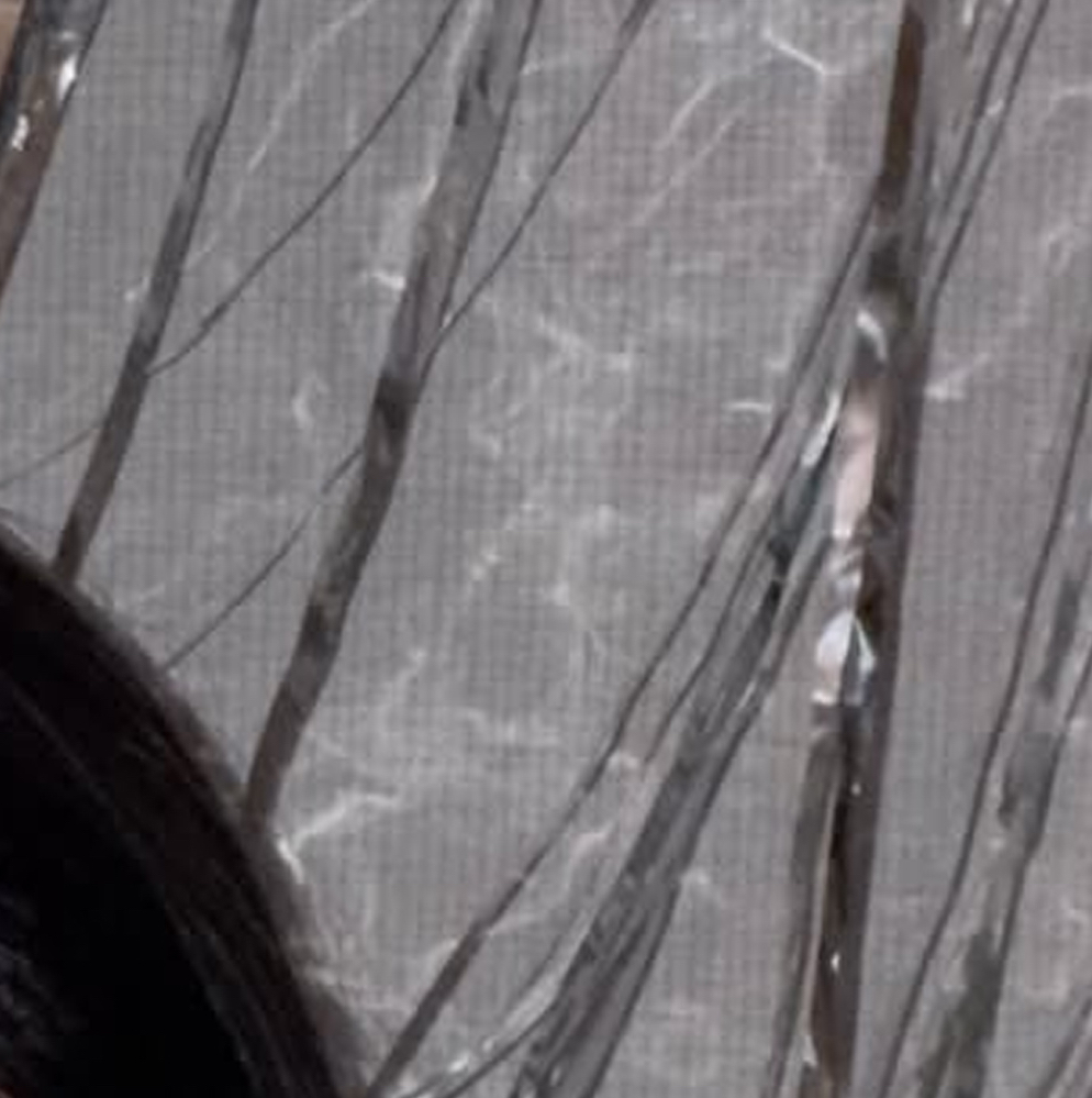 Recent activity shot of Go Won (Loossemble)