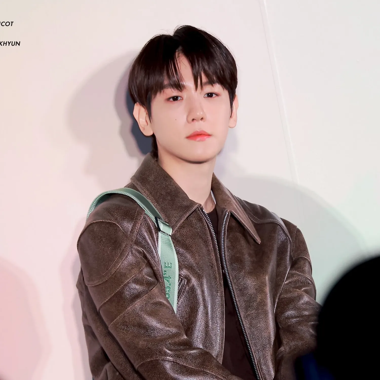 伯賢 (EXO)粉絲拍下的瞬間