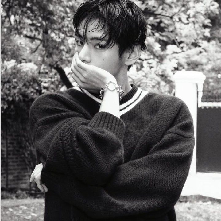 뷔 (방탄소년단) 팬이 찍은 순간