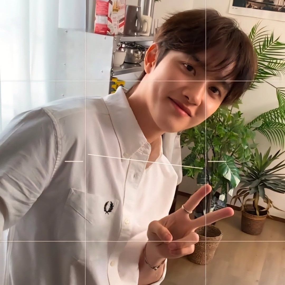 Recent activity shot of D.O. (EXO)