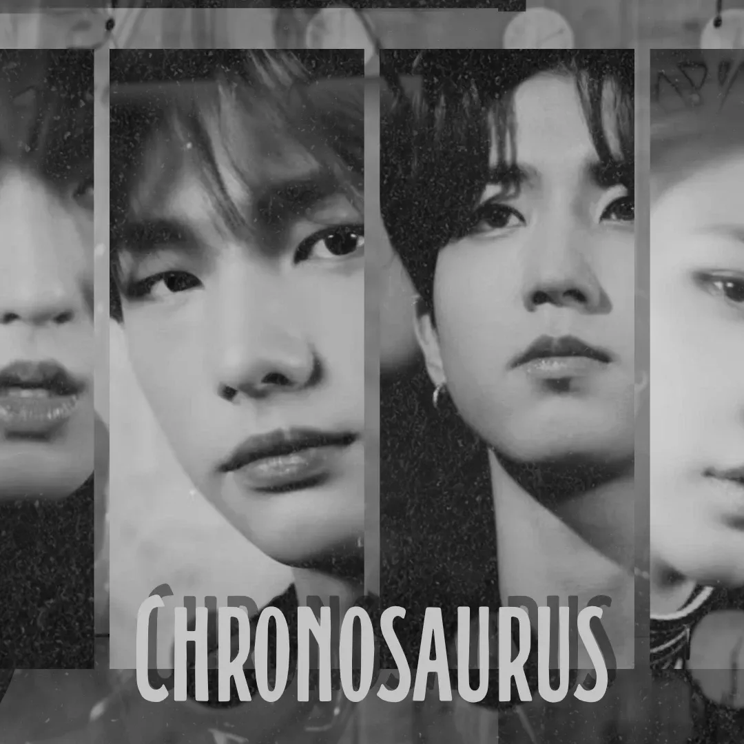 Stray Kids 팬이 찍은 순간