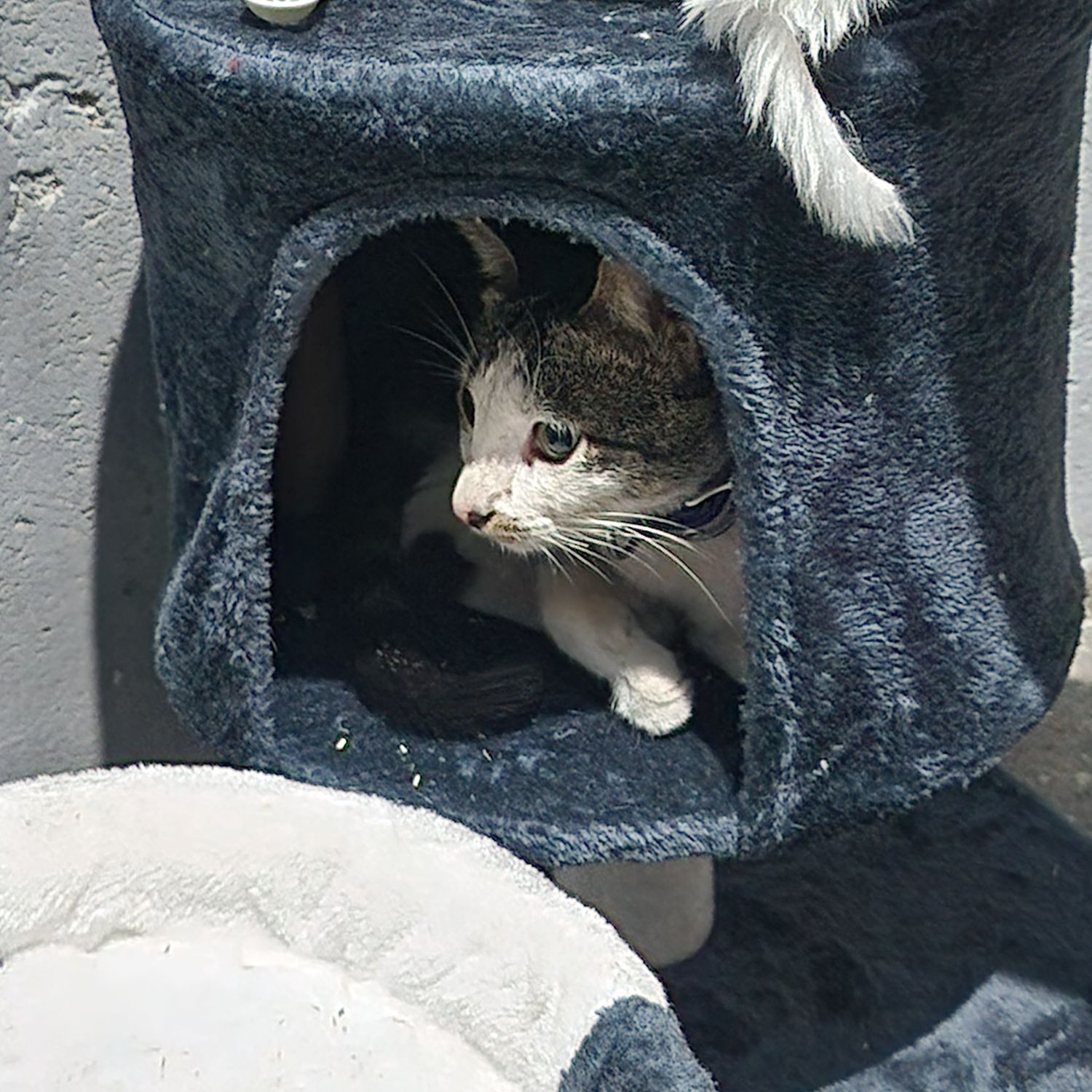 세븐틴의 최신 사진