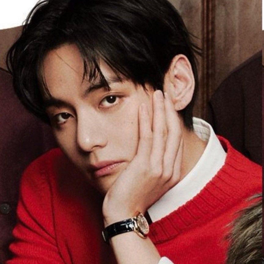 Behind-the-scenes cut of V (BTS)