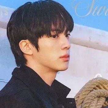 A moment captured by Jin (BTS)'s fan