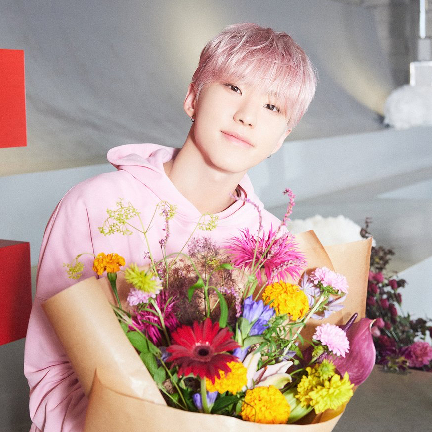 Behind-the-scenes cut of Hoshi (SEVENTEEN)