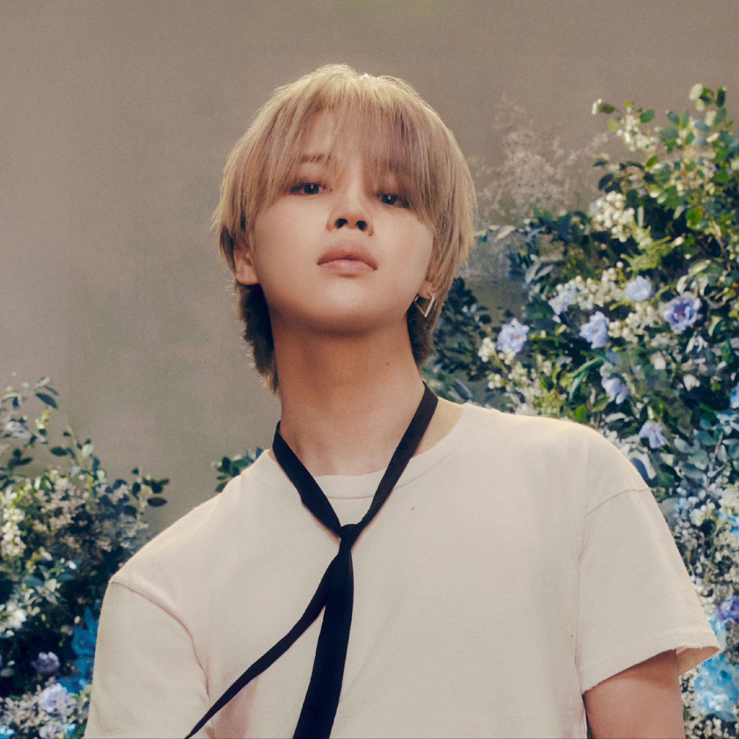 방탄소년단 팬이 찍은 순간