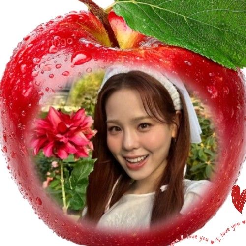 ファンに愛されるK-POPの人気投稿