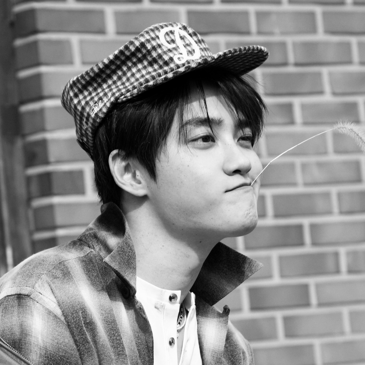 EXO的最新活动照片