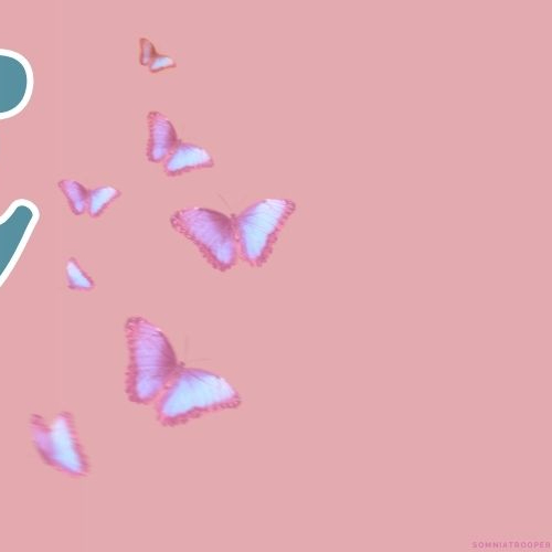 AleXaの最近の活動写真