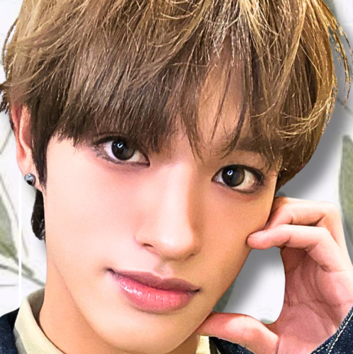 Latest photo of Seita (NEXZ)