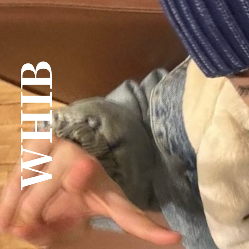 A moment captured by Wonjun (WHIB)'s fan