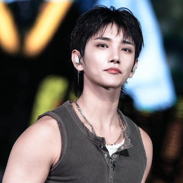 세븐틴 팬이 찍은 순간