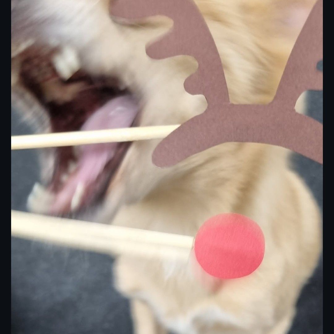 쯔위 (TWICE) 팬이 찍은 순간