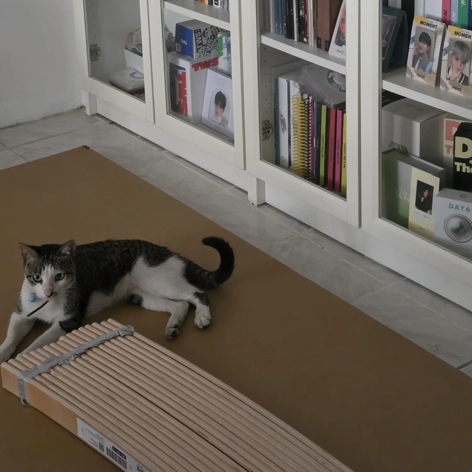 SEVENTEEN的幕後花絮