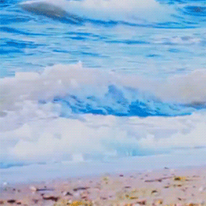 Recent activity shot of MONSTA X