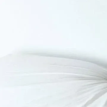 崔傘 (ATEEZ)粉絲拍下的瞬間
