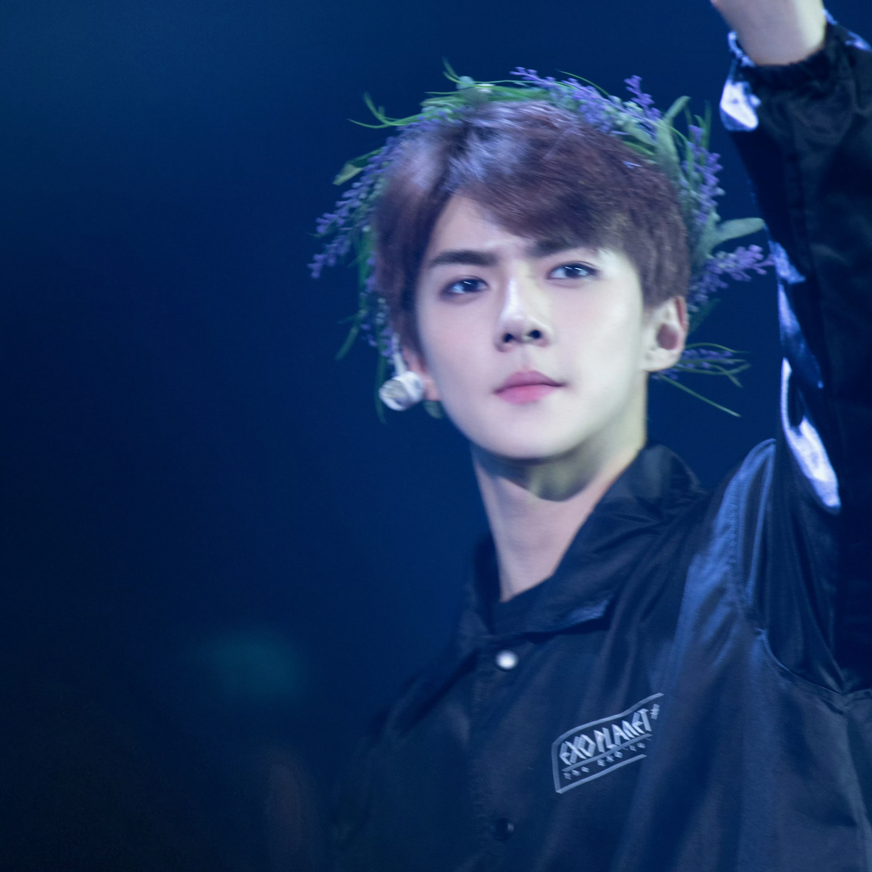 Momen yang diabadikan oleh penggemar EXO