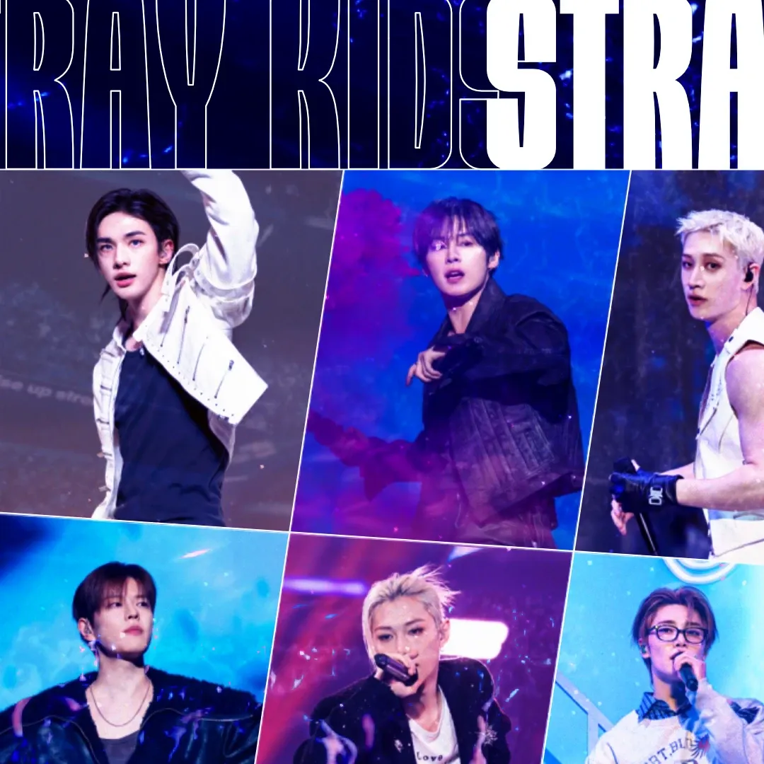 Stray Kids 팬이 찍은 순간