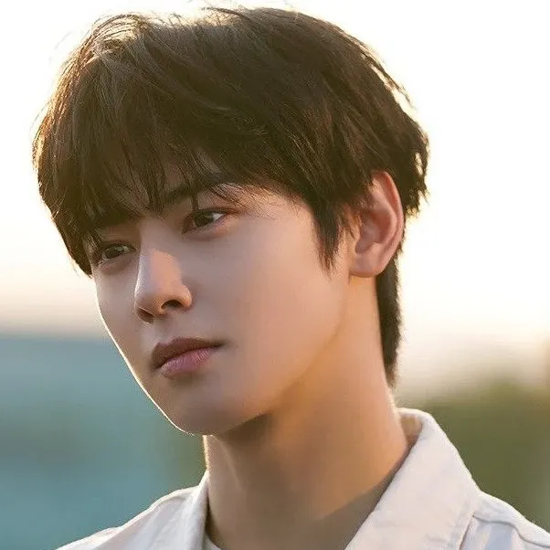 A moment captured by Eunwoo (ASTRO)'s fan