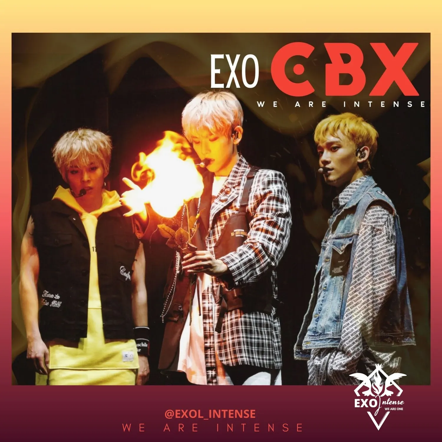 EXO 팬이 찍은 순간