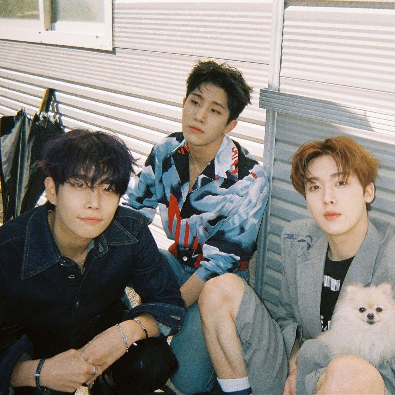 ASTRO的最新活動照片