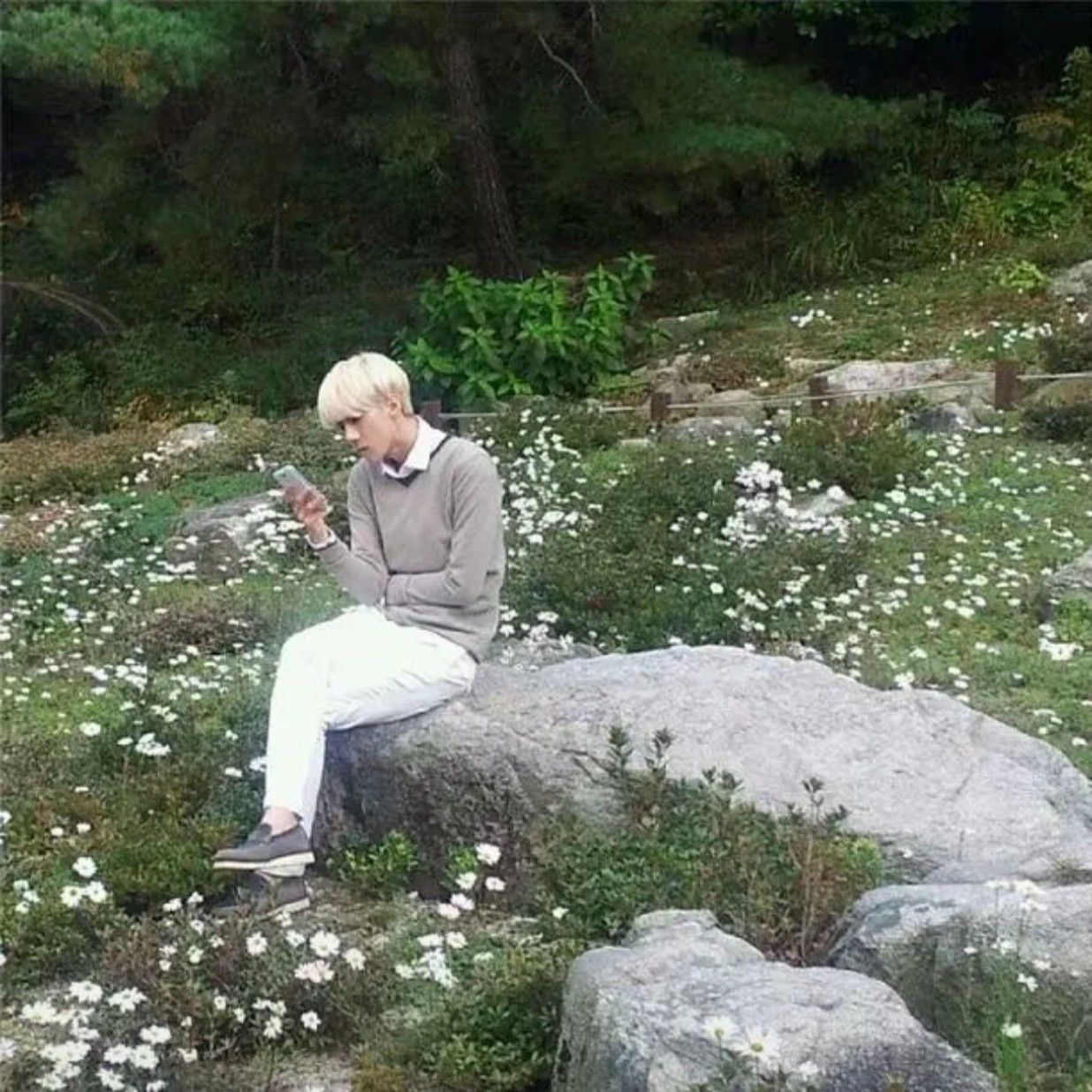 Latest photo of Sehun (EXO)