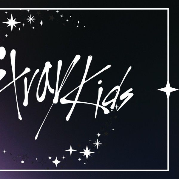 Stray Kids 팬이 찍은 순간