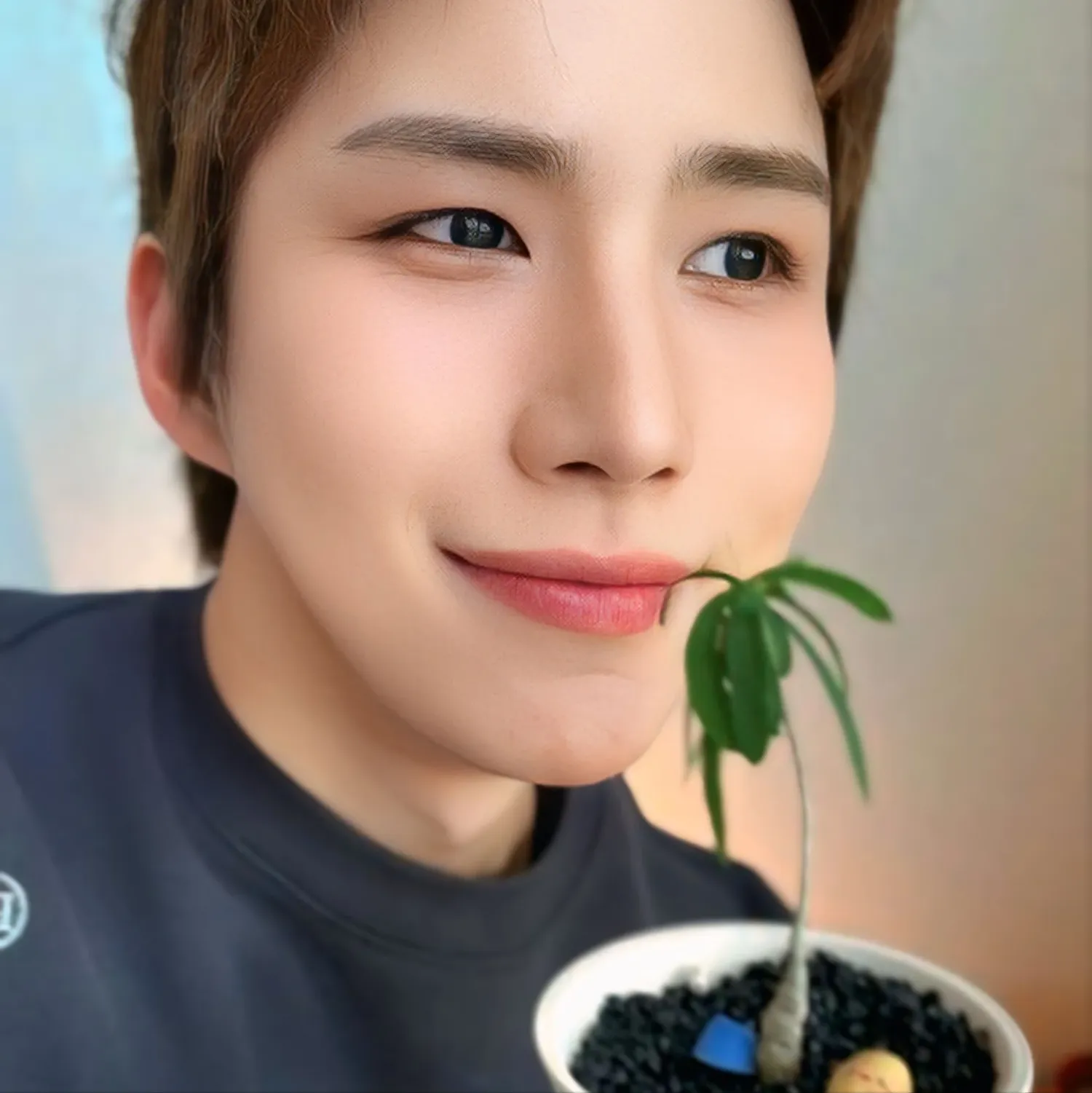 Wow (A.C.E)粉丝拍下的瞬间