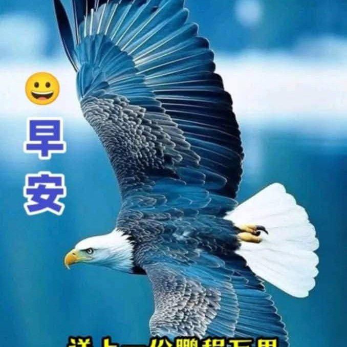 장원영 (IVE)의 비하인드 컷