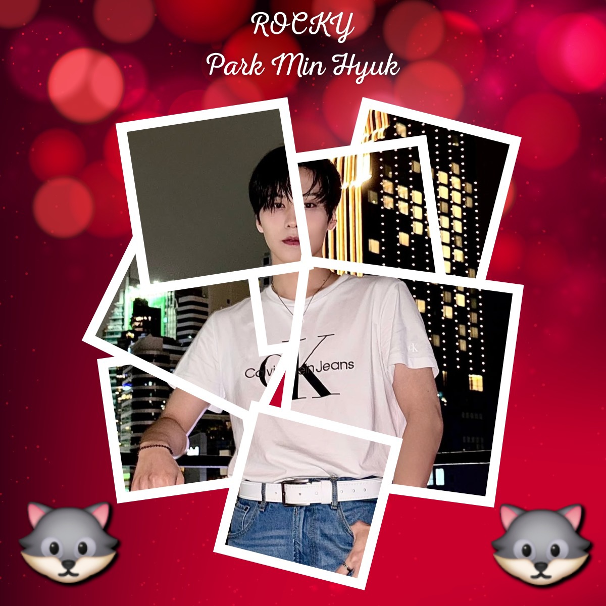 Latest photo of Rocky