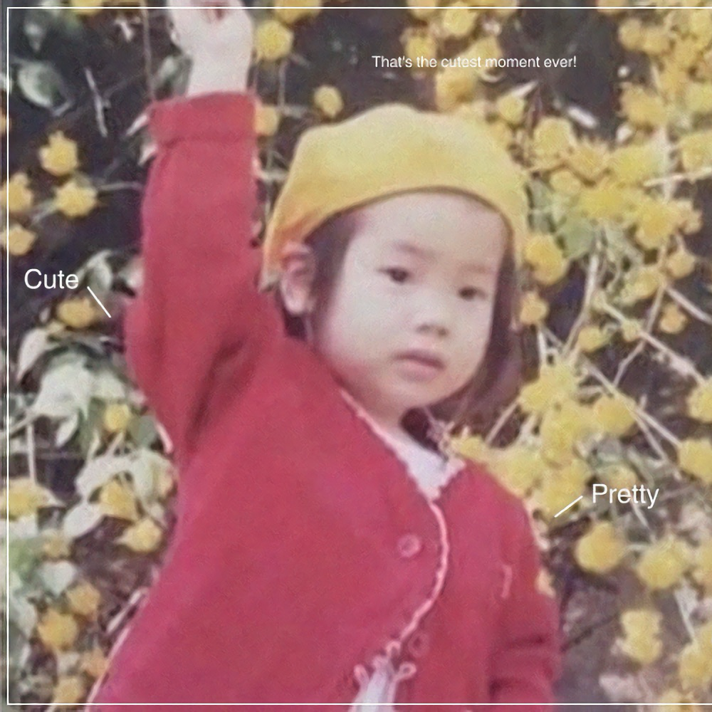A moment captured by Dahyun (TWICE)'s fan