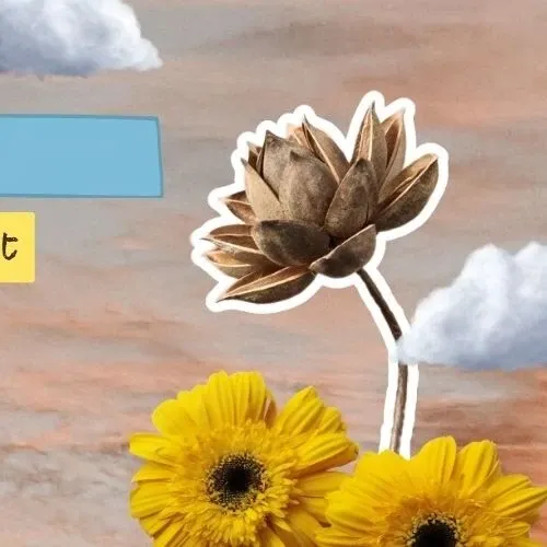 Latest photo of Handong (DREAMCATCHER)